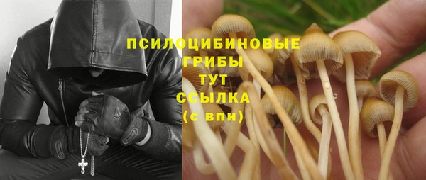 каннабис Баксан