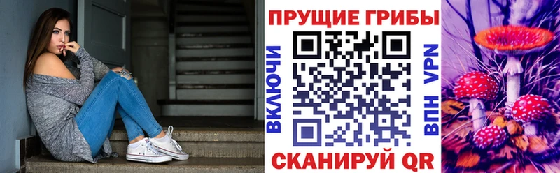 цена наркотик  Лениногорск  Псилоцибиновые грибы GOLDEN TEACHER 